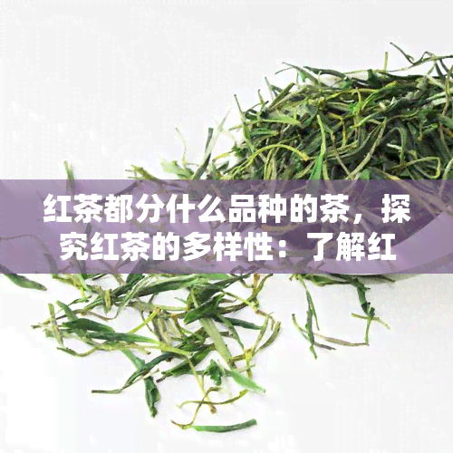 红茶都分什么品种的茶，探究红茶的多样性：了解红茶的各种品种