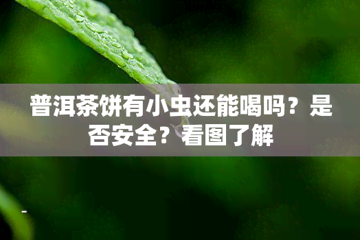 普洱茶饼有小虫还能喝吗？是否安全？看图了解