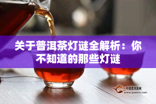 关于普洱茶灯谜全解析：你不知道的那些灯谜