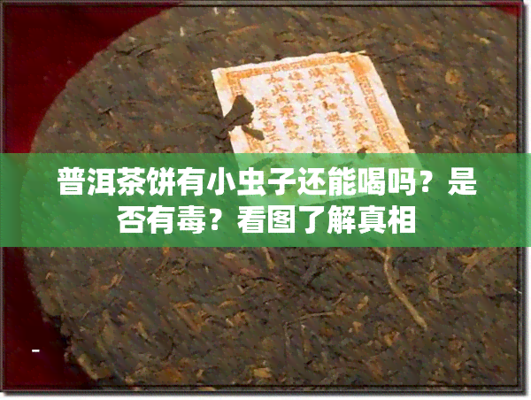 普洱茶饼有小虫子还能喝吗？是否有？看图了解真相