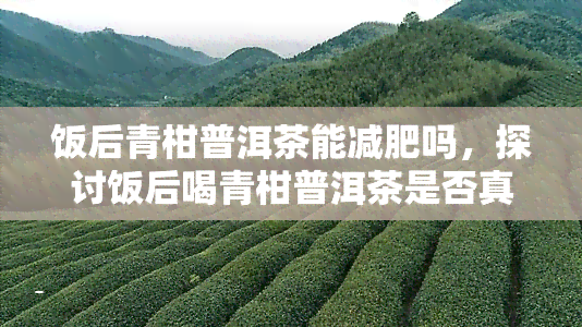 饭后青柑普洱茶能减肥吗，探讨饭后喝青柑普洱茶是否真的能帮助减肥？