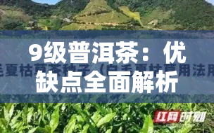 9级普洱茶：优缺点全面解析