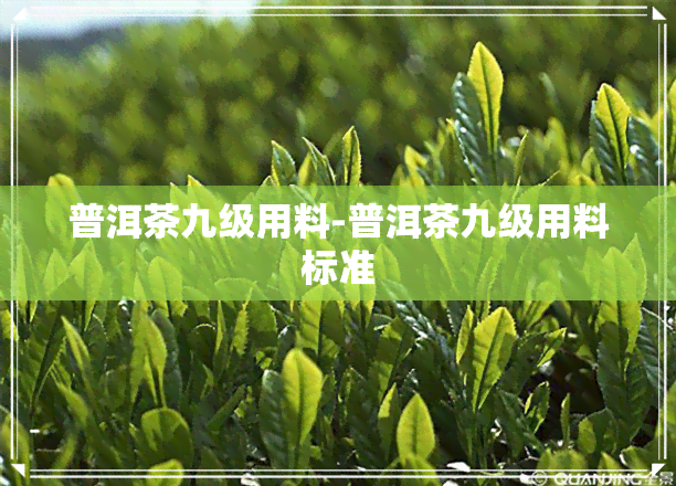 普洱茶九级用料-普洱茶九级用料标准