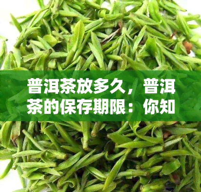 普洱茶放多久，普洱茶的保存期限：你知道它能存放多久吗？