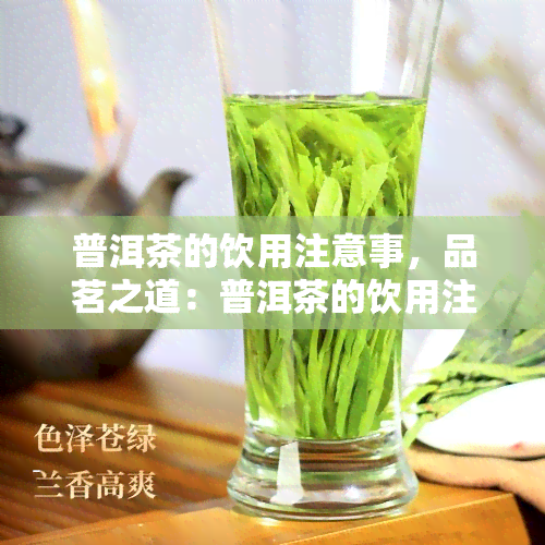 普洱茶的饮用注意事，品茗之道：普洱茶的饮用注意事