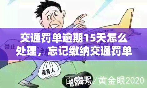 交通罚单逾期15天怎么处理，忘记缴纳交通罚单？逾期15天怎么办？