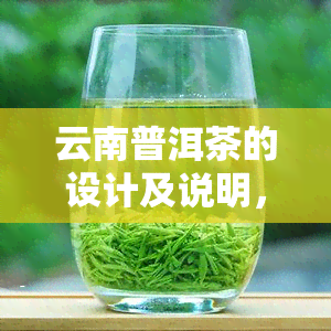 云南普洱茶的设计及说明，创意无限：探索云南普洱茶的独特设计与详细解读