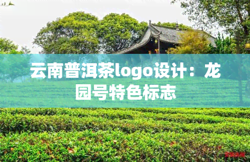 云南普洱茶logo设计：龙园号特色标志