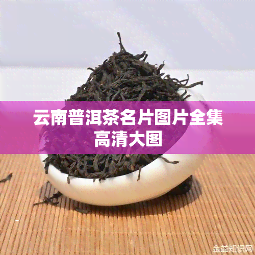 云南普洱茶名片图片全集高清大图