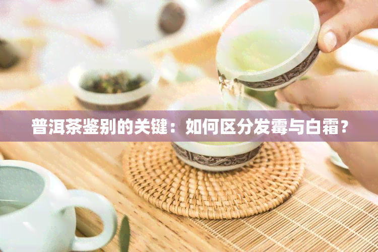 普洱茶鉴别的关键：如何区分发霉与白霜？