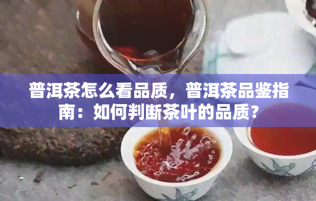 普洱茶怎么看品质，普洱茶品鉴指南：如何判断茶叶的品质？