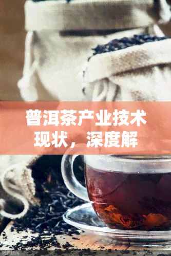 普洱茶产业技术现状，深度解析：普洱茶产业技术的现状与发展趋势