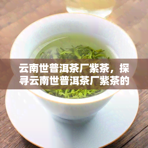 云南世普洱茶厂紫茶，探寻云南世普洱茶厂紫茶的独特魅力