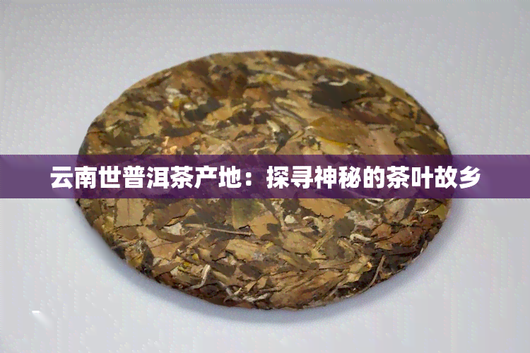 云南世普洱茶产地：探寻神秘的茶叶故乡