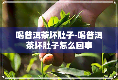 喝普洱茶坏肚子-喝普洱茶坏肚子怎么回事