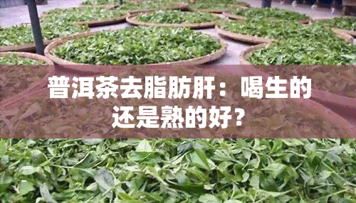 普洱茶去脂肪肝：喝生的还是熟的好？