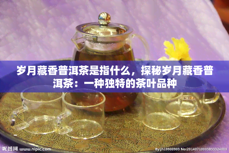 岁月藏香普洱茶是指什么，探秘岁月藏香普洱茶：一种独特的茶叶品种