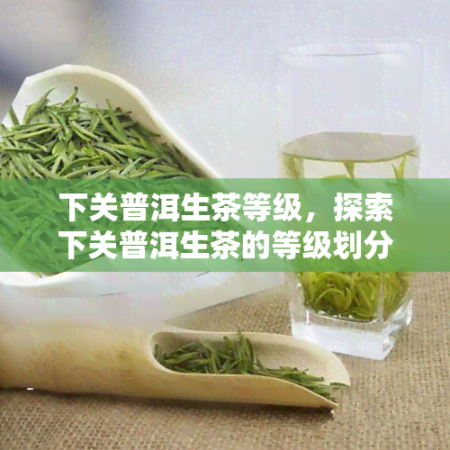 下关普洱生茶等级，探索下关普洱生茶的等级划分与品质特点