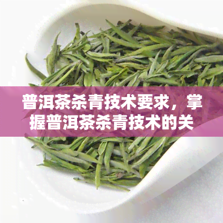 普洱茶杀青技术要求，掌握普洱茶杀青技术的关键要点