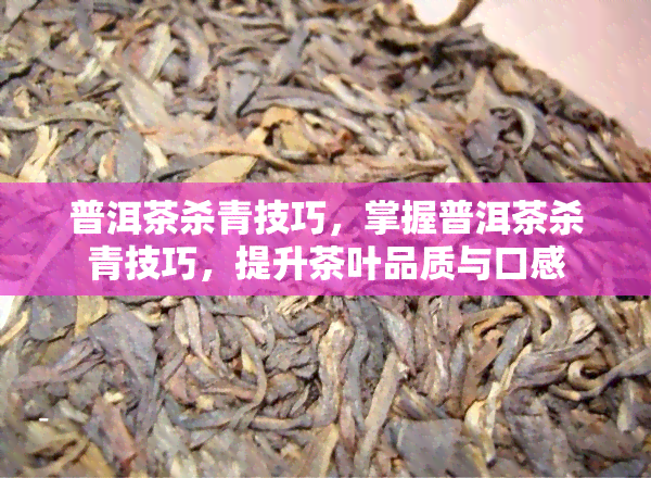 普洱茶杀青技巧，掌握普洱茶杀青技巧，提升茶叶品质与口感