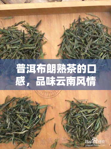 普洱布朗熟茶的口感，品味云南风情：探索普洱布朗熟茶的独特口感