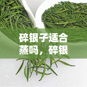 碎银子适合蒸吗，碎银子茶叶是否适合蒸？探究其独特的蒸煮方法