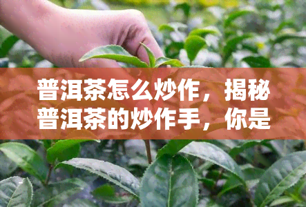 普洱茶怎么炒作，揭秘普洱茶的炒作手，你是否也被骗了？