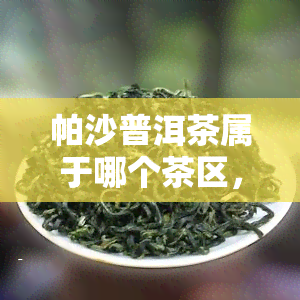 帕沙普洱茶属于哪个茶区，探寻茶叶之源：帕沙普洱茶的产地归属