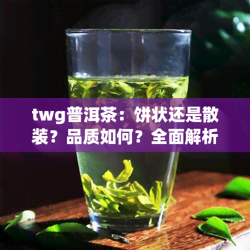 twg普洱茶：饼状还是散装？品质如何？全面解析