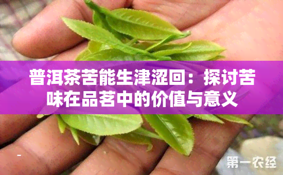 普洱茶苦能生津涩回：探讨苦味在品茗中的价值与意义