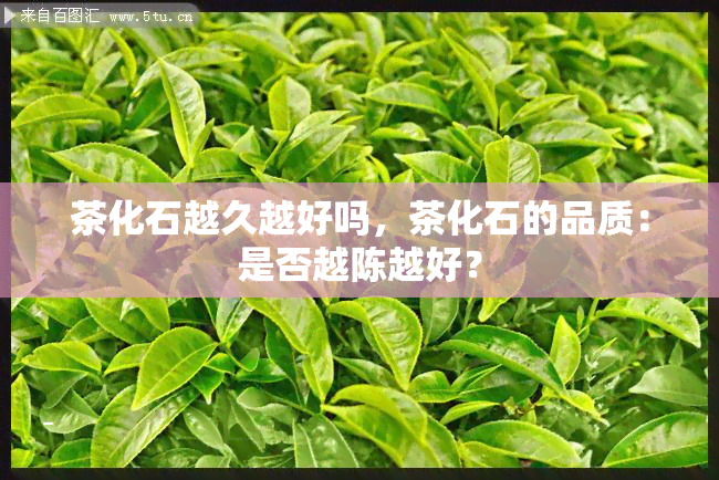 茶化石越久越好吗，茶化石的品质：是否越陈越好？