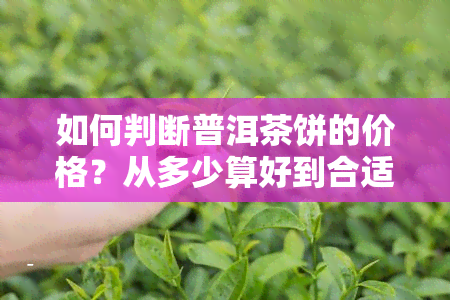 如何判断普洱茶饼的价格？从多少算好到合适围全解析