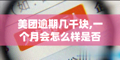 美团逾期几千块,一个月会怎么样是否美团起诉，美团逾期几千块一个月：是否会面临被起诉的风险？