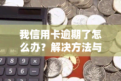 我信用卡逾期了怎么办？解决方法与流程全解析