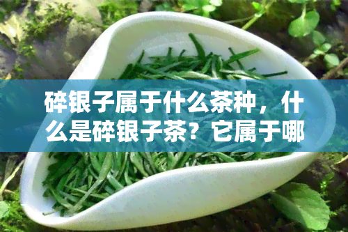 碎银子属于什么茶种，什么是碎银子茶？它属于哪种茶种？