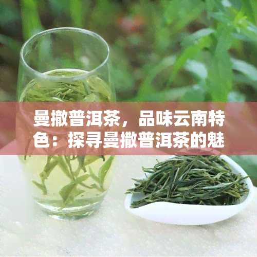 曼撤普洱茶，品味云南特色：探寻曼撒普洱茶的魅力