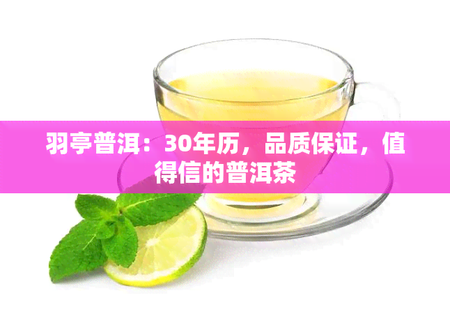 羽亭普洱：30年历，品质保证，值得信的普洱茶