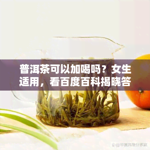 普洱茶可以加喝吗？女生适用，看百度百科揭晓答案