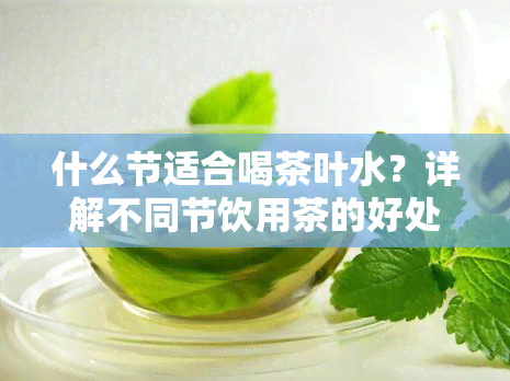 什么节适合喝茶叶水？详解不同节饮用茶的好处与减肥效果