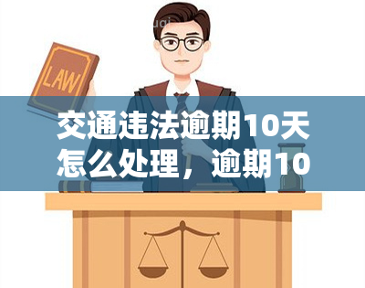 交通违法逾期10天怎么处理，逾期10天未处理交通违法，如何应对？