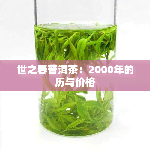 世之春普洱茶：2000年的历与价格