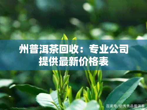 州普洱茶回收：专业公司提供最新价格表