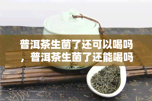 普洱茶生菌了还可以喝吗，普洱茶生菌了还能喝吗？专家解析茶叶变质问题