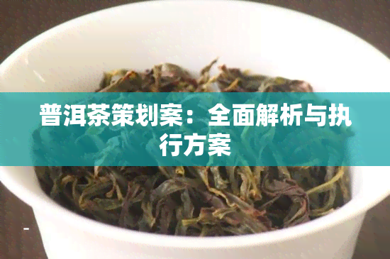 普洱茶策划案：全面解析与执行方案