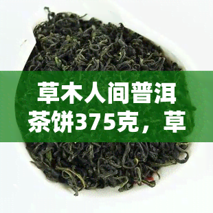 草木人间普洱茶饼375克，草木人间普洱茶饼，375克，尽享纯正云南风味！