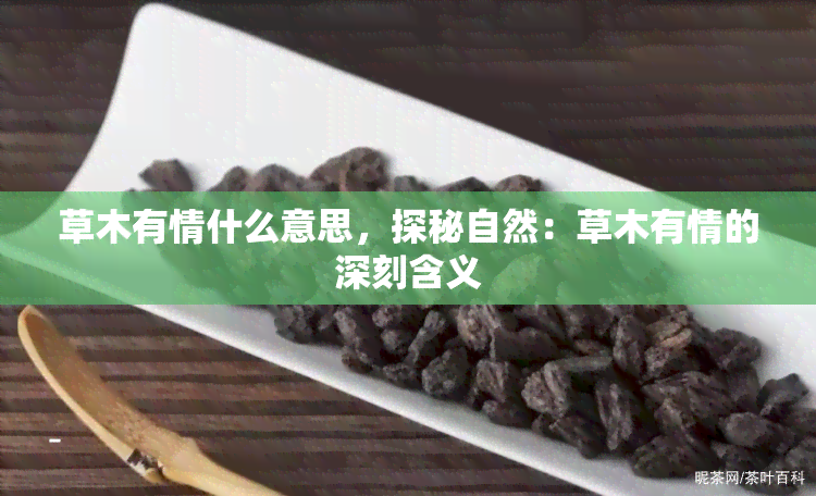 草木有情什么意思，探秘自然：草木有情的深刻含义