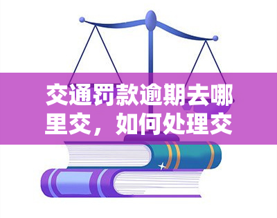 交通罚款逾期去哪里交，如何处理交通罚款逾期？告诉你去哪里交罚款