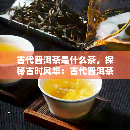 古代普洱茶是什么茶，探秘古时风华：古代普洱茶究竟属于何种茶类？