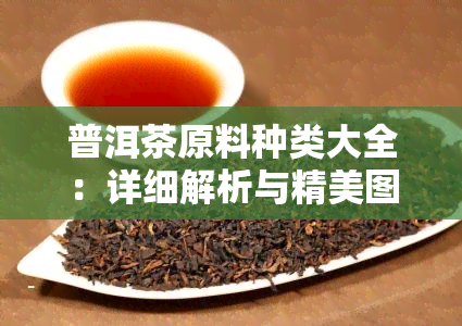 普洱茶原料种类大全：详细解析与精美图片