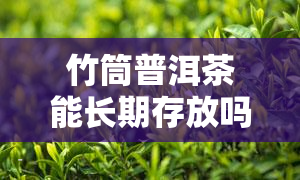 竹筒普洱茶能长期存放吗，探究竹筒普洱茶的长期保存可能性